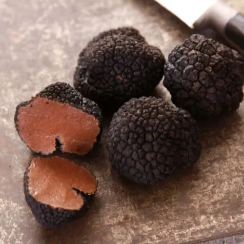 Trufle włoskie