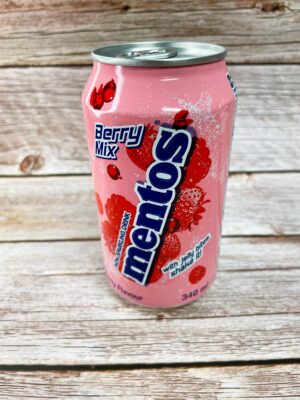 288 NAPÓJ MENTOS OWOCOWY